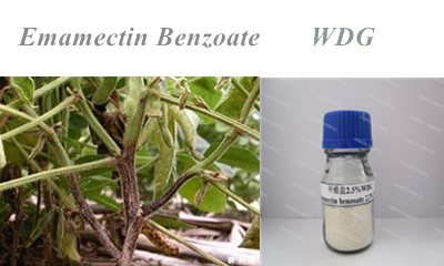 Emamectin Benzoate hongze 甲维盐