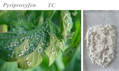Pyriproxyfen hongze 吡丙醚